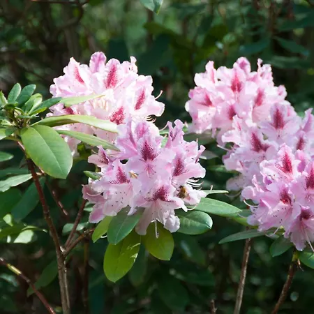 Hôtellerie L'enclos Rey Hotel Paris