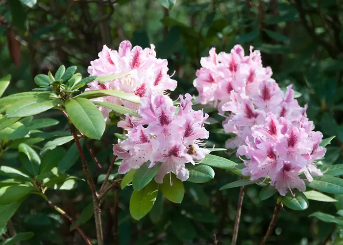 Hotellerie L'enclos Rey Hotel Paryż